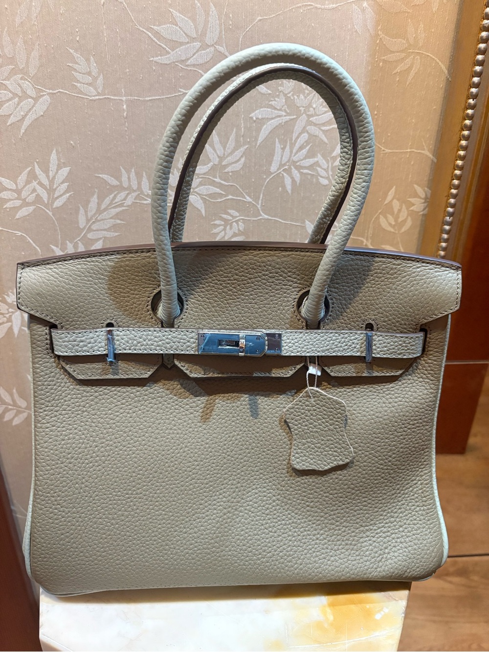 Beautiful Vegan Leather Bag with Silver Hardware & Red Interior